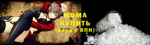 индика Новозыбков