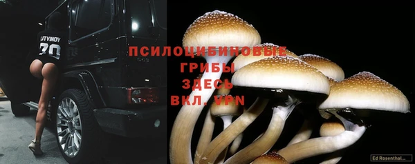 гидропоника Новодвинск